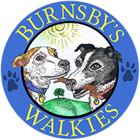 burnsbys dog walking plymouth